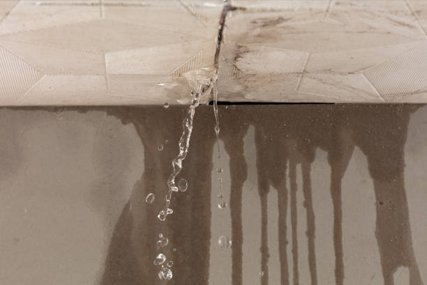 Professional Burst Pipe Cleanup technician working in Woodburn, KY